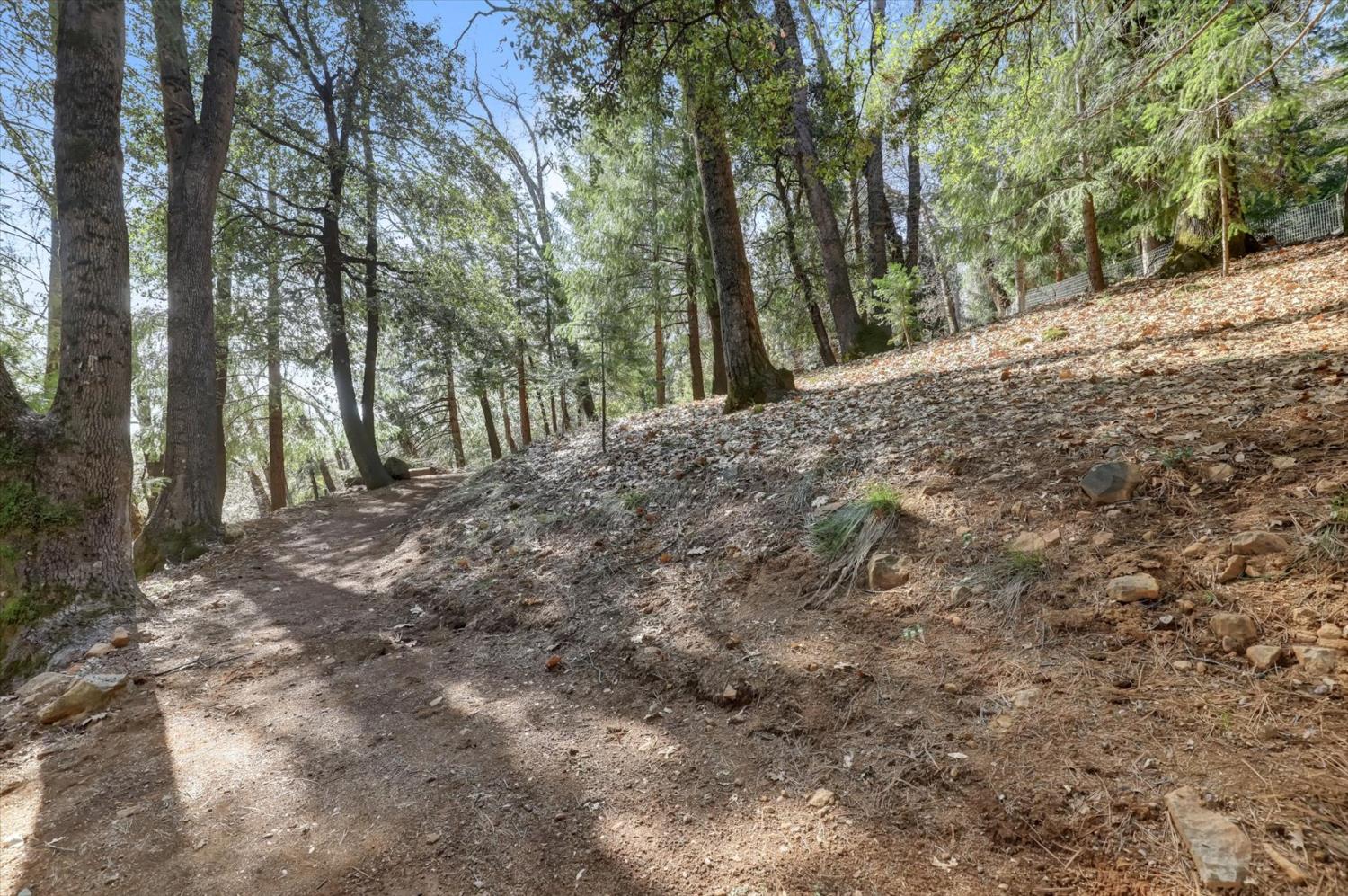 17028 Banner Quaker Hill Road Nevada City, CA 95959 - Photo 46 of 79 a view of a forest with trees