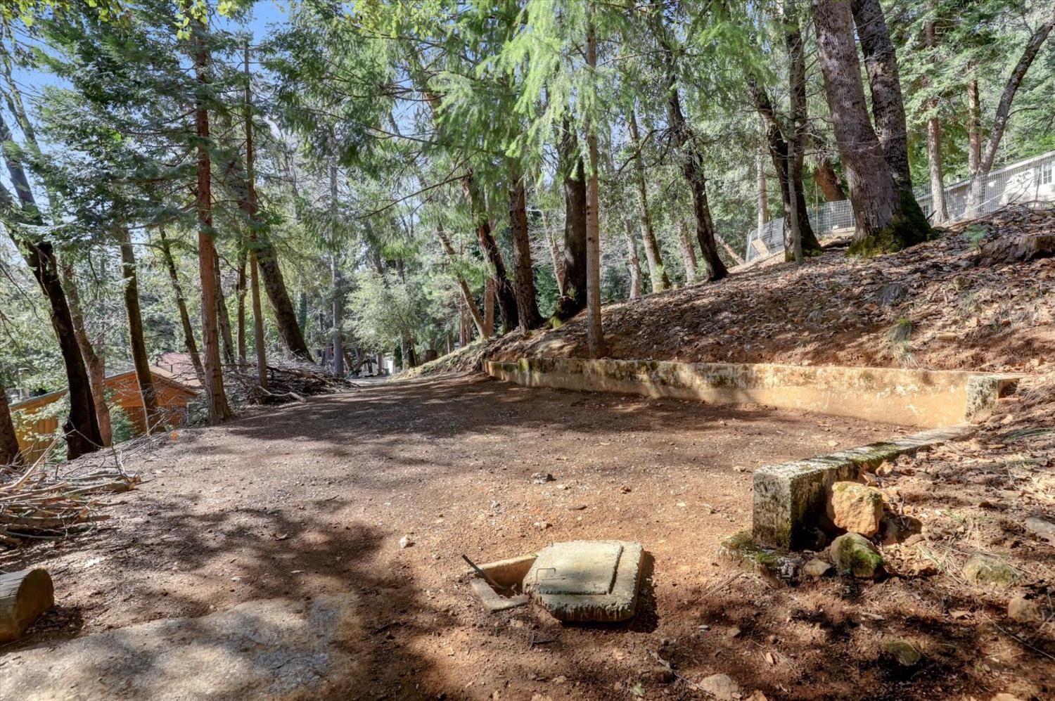 17028 Banner Quaker Hill Road Nevada City, CA 95959 - Photo 47 of 79 a view of a backyard of the house