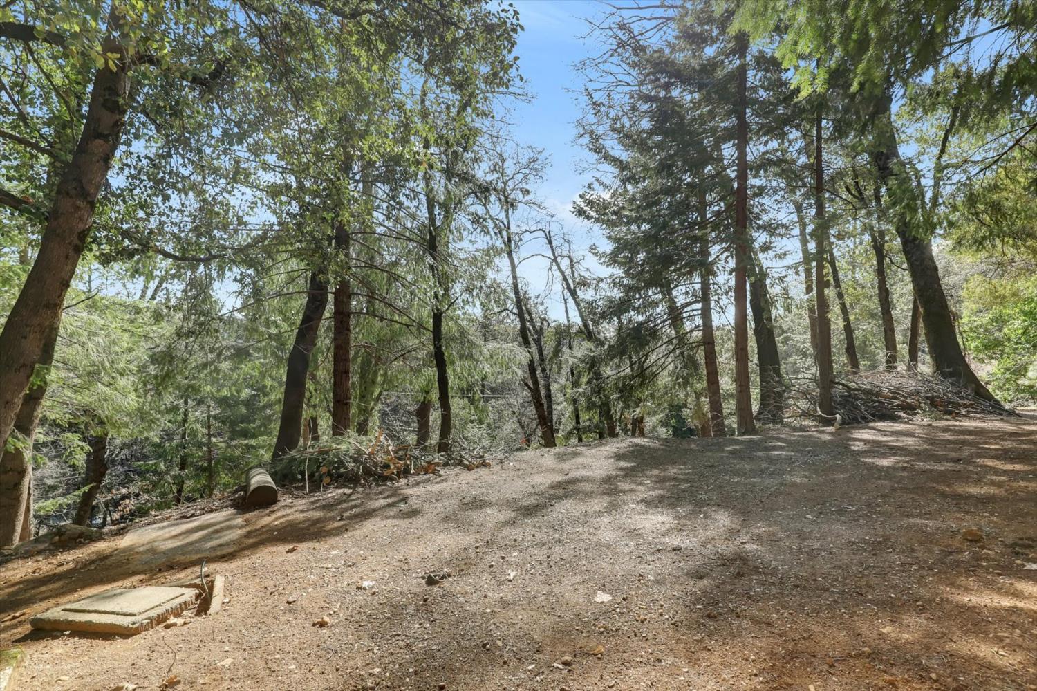 17028 Banner Quaker Hill Road Nevada City, CA 95959 - Photo 48 of 79 a view of outdoor space with trees