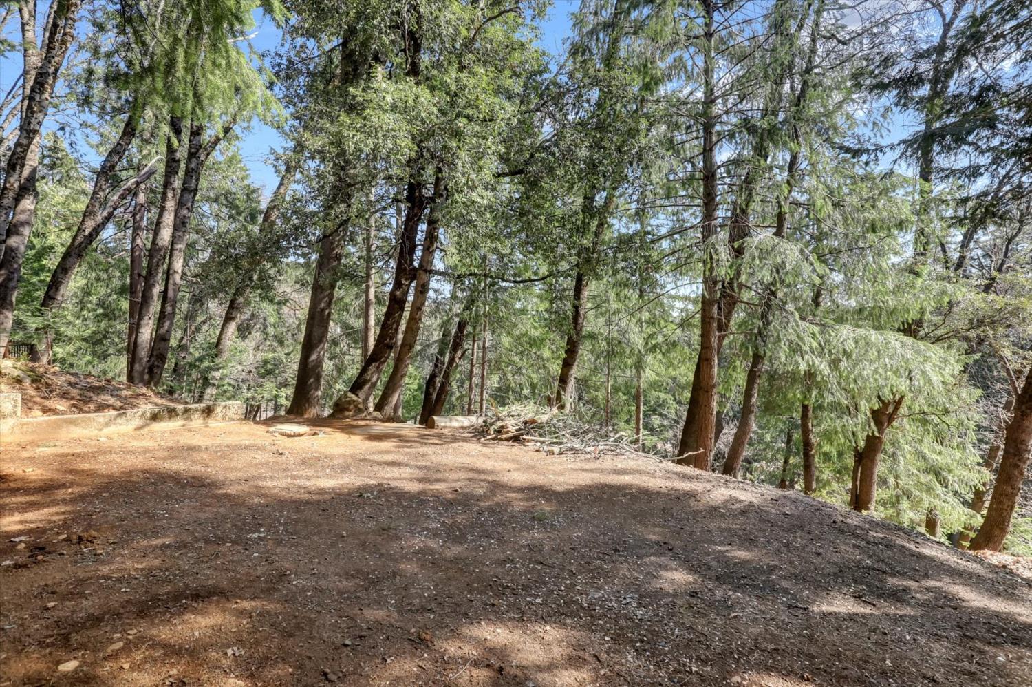 17028 Banner Quaker Hill Road Nevada City, CA 95959 - Photo 49 of 79 a view of dirt yard with a large tree