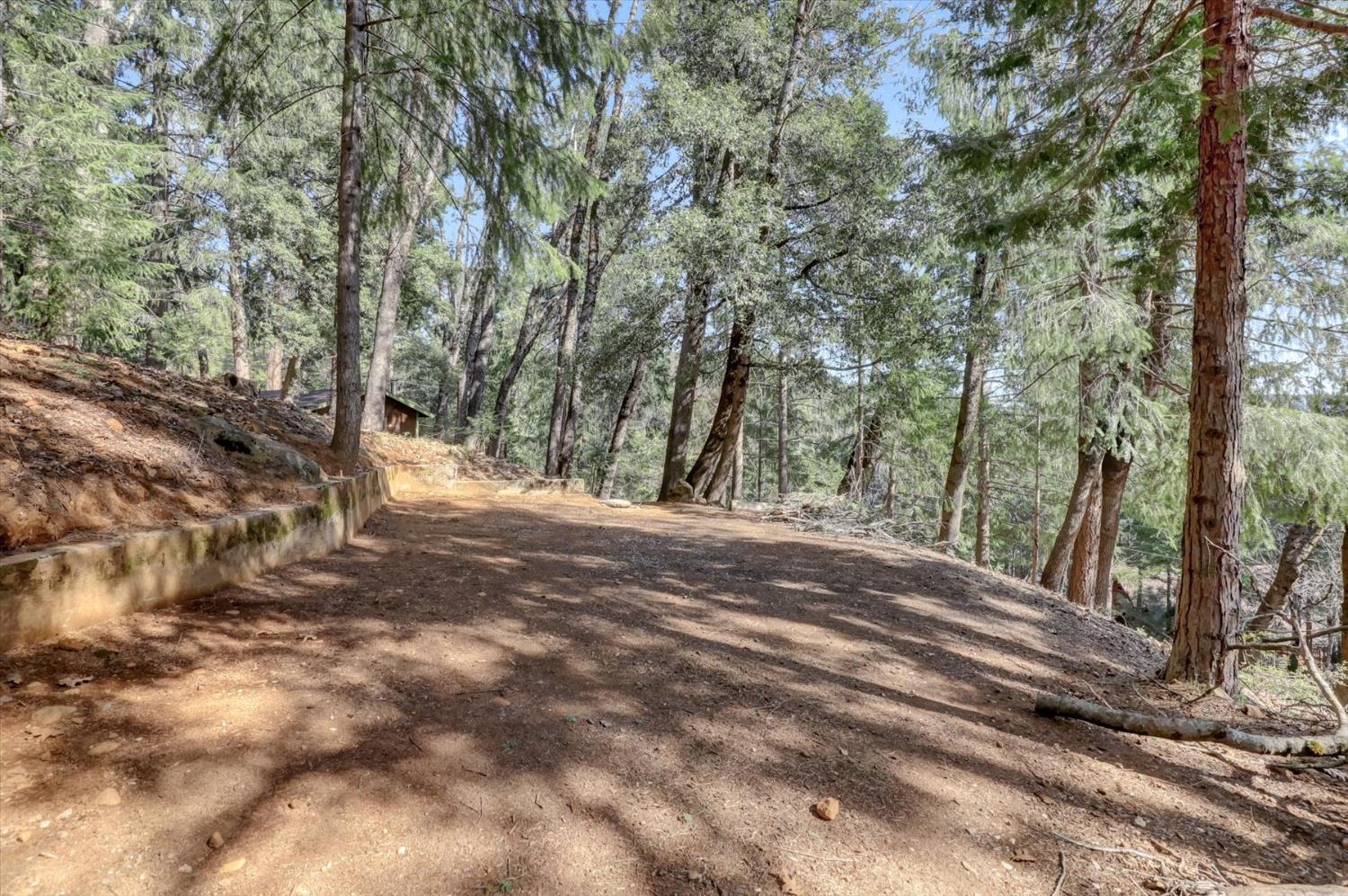 17028 Banner Quaker Hill Road Nevada City, CA 95959 - Photo 51 of 79 a view of road and trees