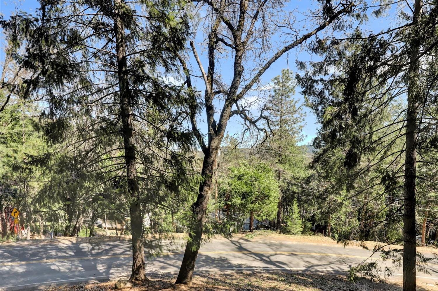 17028 Banner Quaker Hill Road Nevada City, CA 95959 - Photo 56 of 79 a view of a forest filled with trees