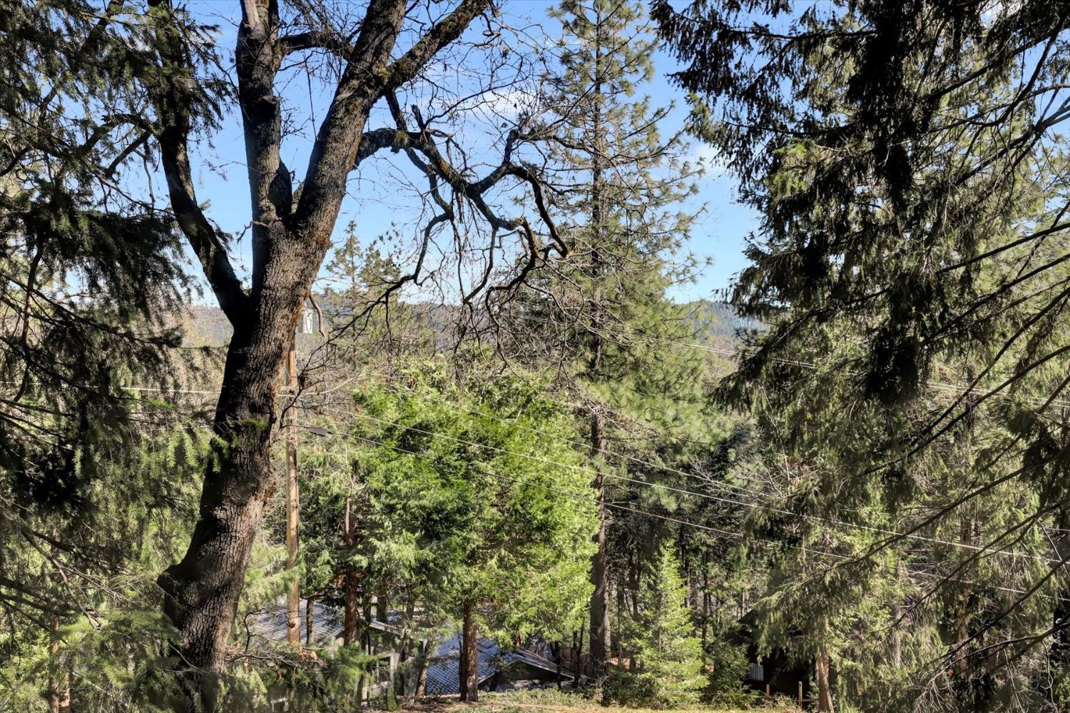 17028 Banner Quaker Hill Road Nevada City, CA 95959 - Photo 57 of 79