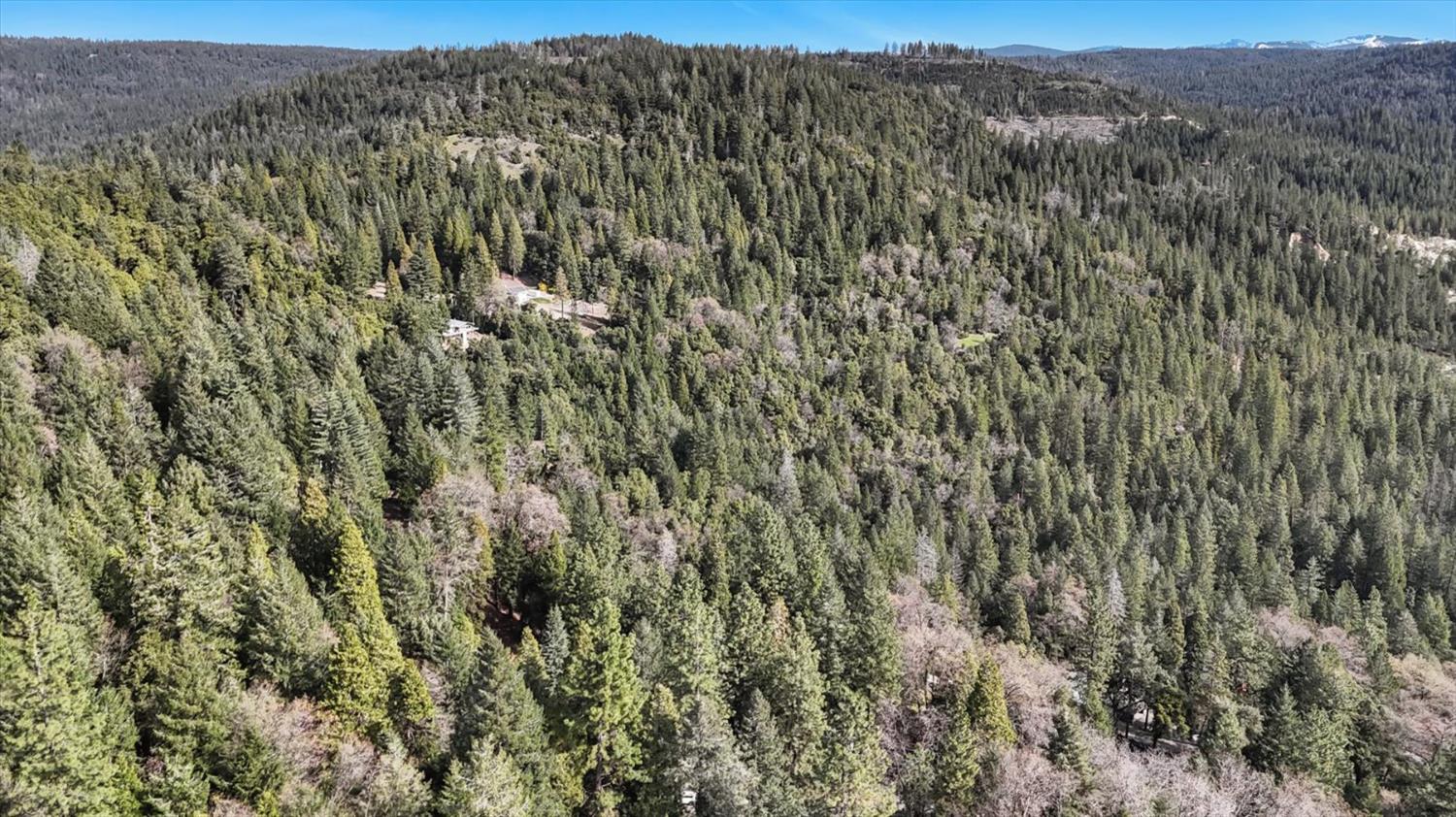 17028 Banner Quaker Hill Road Nevada City, CA 95959 - Photo 61 of 79