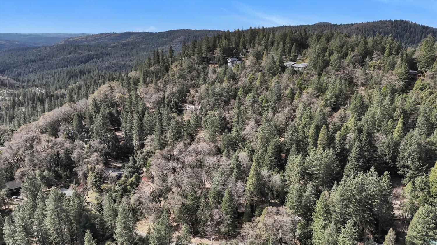 17028 Banner Quaker Hill Road Nevada City, CA 95959 - Photo 63 of 79 a view of a forest with mountains in the background