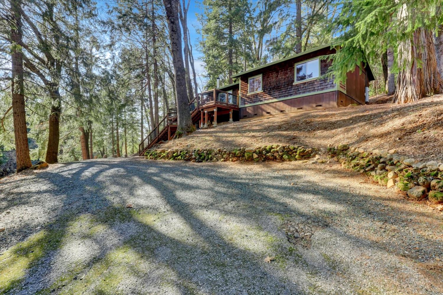 17028 Banner Quaker Hill Road Nevada City, CA 95959 - Photo 75 of 79 a view of a yard with plants and trees