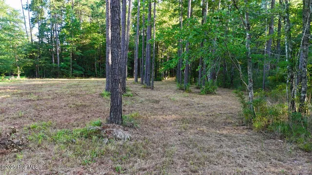 $115,000 | 394 Bay Shores Road, Merritt, NC 28556