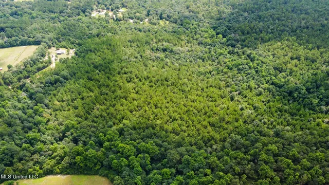 $180,000 | Lilliemae Lane, Poplarville, MS 39470