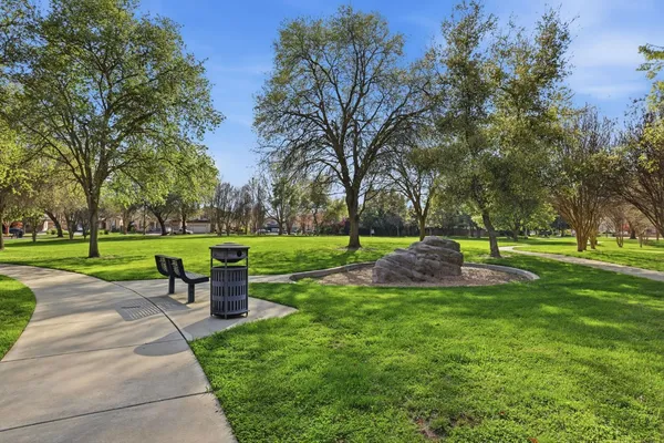 a view of a park with bench and trees