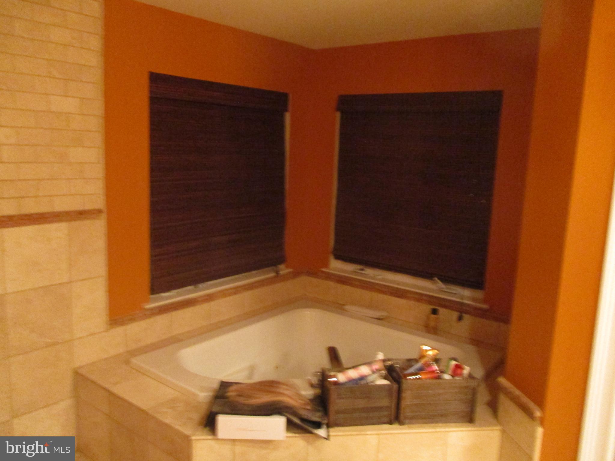 11041 Knights Road Philadelphia, PA 19154 - Photo 31 of 50 Master bath Whirlpool Tub