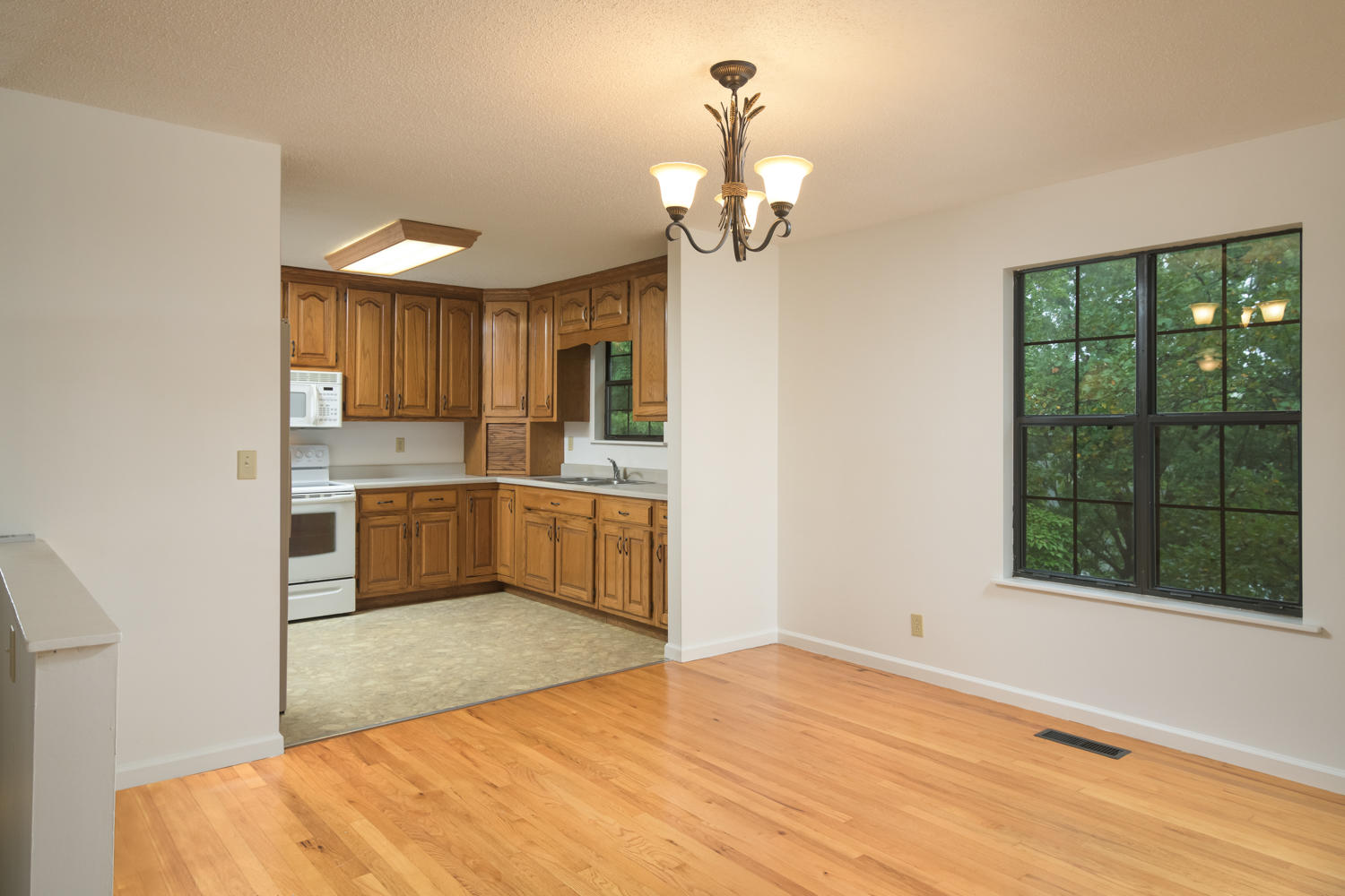 1133 Brow Road Trenton, GA 30752 - Photo 9 of 30 1133_Brow_Rd_17