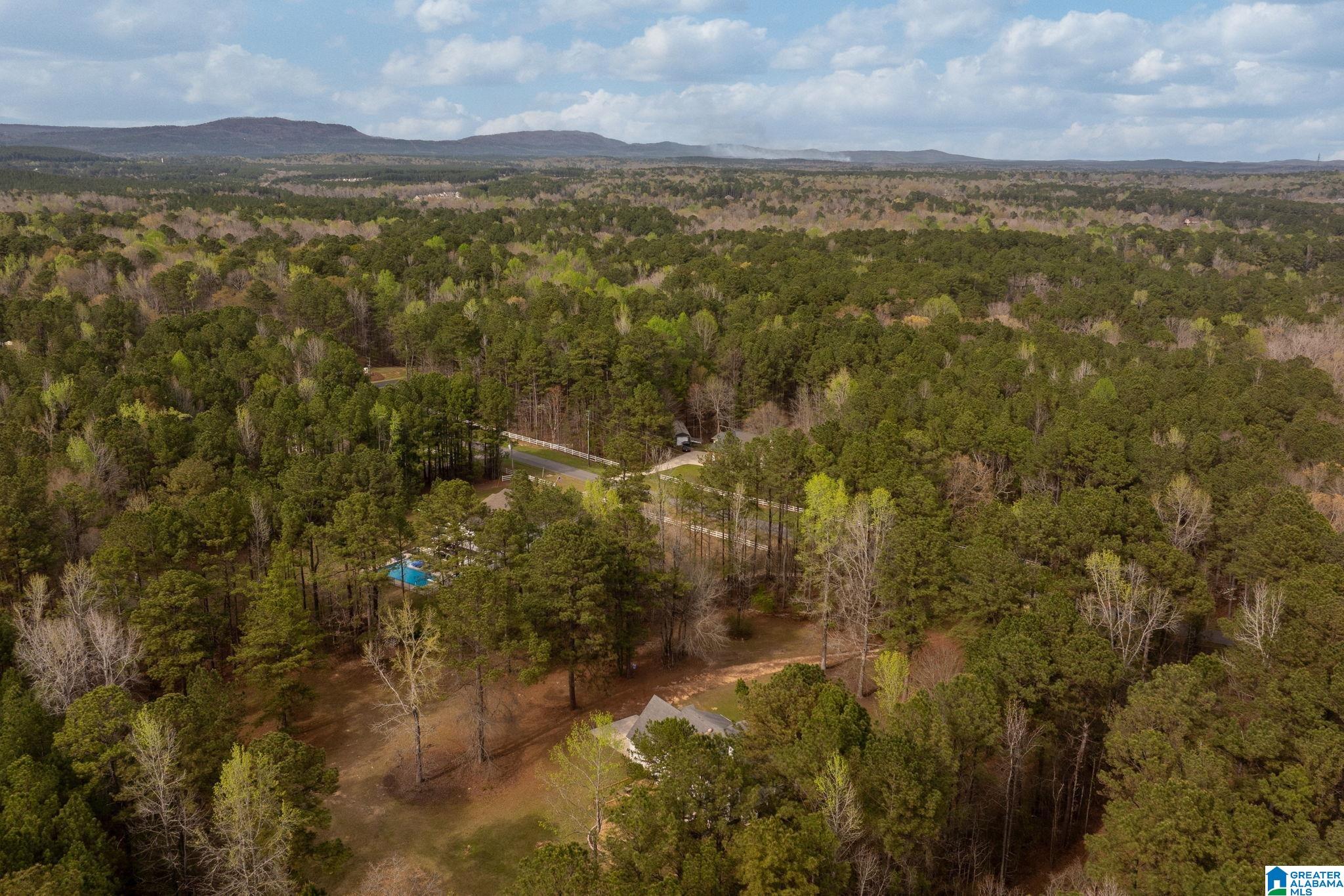 324 Dorough Road Columbiana, AL 35051 - Photo 67 of 70