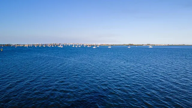 wooden floor with a dry yard