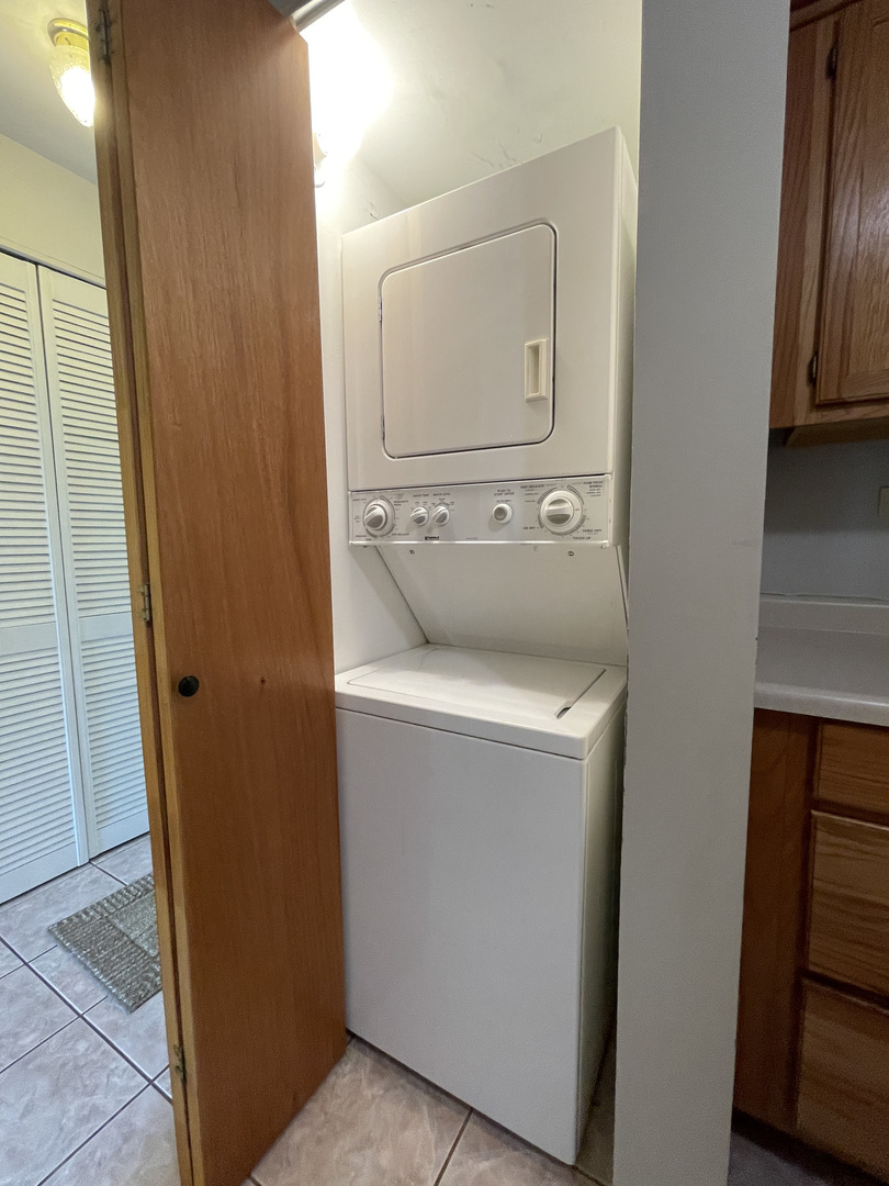6443 Clarendon Hills Road, Unit 107 Willowbrook, IL 60527 - Photo 12 of 19 a utility room with dryer and washer