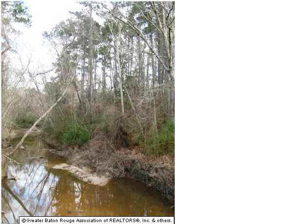 1-2 North Doyle Road Holden, LA 70744 - Photo 2 of 4 Gallery Image 2