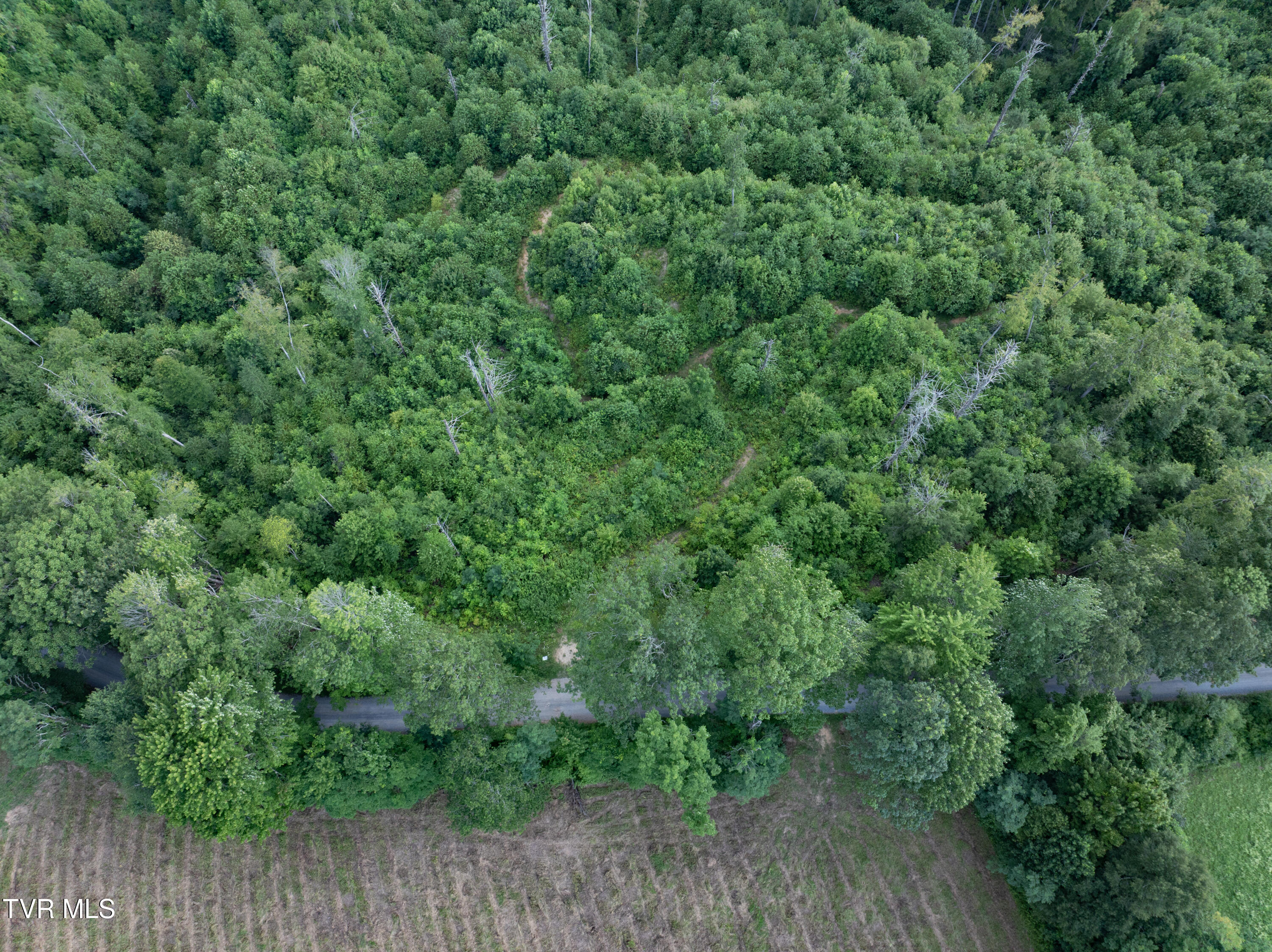 Tbd Walnut Mountain Road, Unit TBD Butler, TN 37640 - Photo 15 of 22 DJI_20250802180633_0778_D