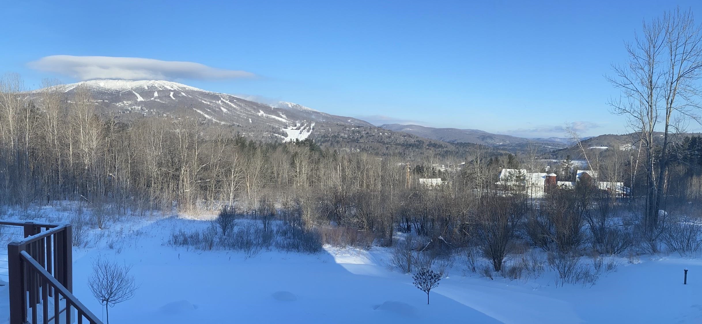 42 Deerfield Drive Ludlow, VT 05149 - Photo 59 of 60