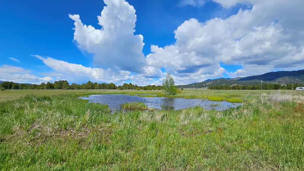101 Sixty Lane Cascade, ID 83611 - Photo 34 of 52