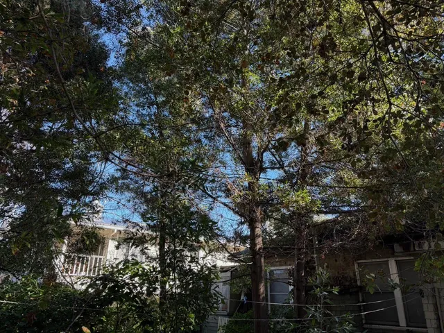 $3,200,000 | 653 Melville Avenue, Palo Alto, CA 94301