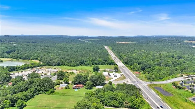 a view of a city with lush green forest