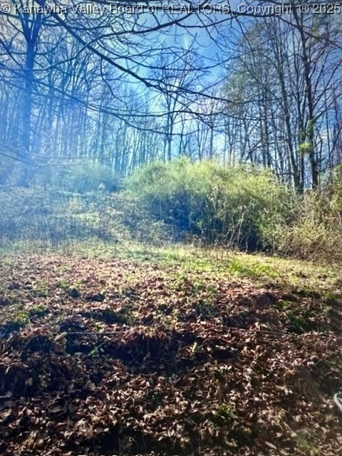 Gallery Image 6