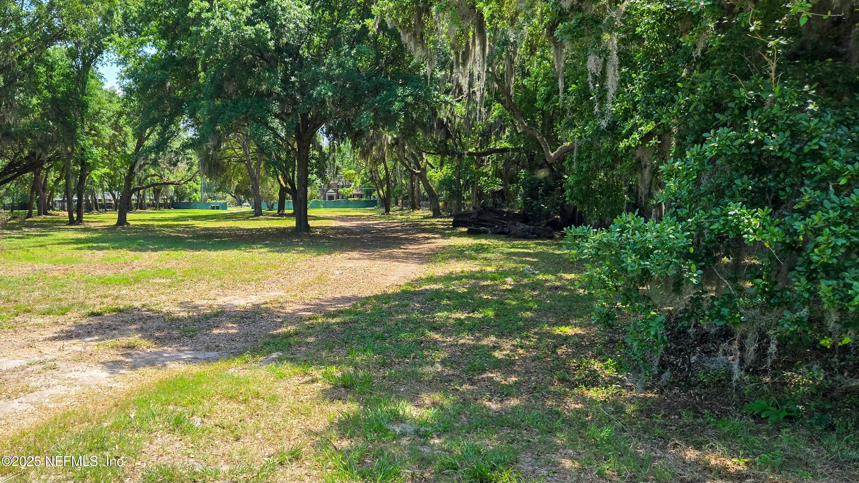 12638 Mandarin Road Jacksonville, FL 32223 - Photo 19 of 33 a view of a trees in a yard