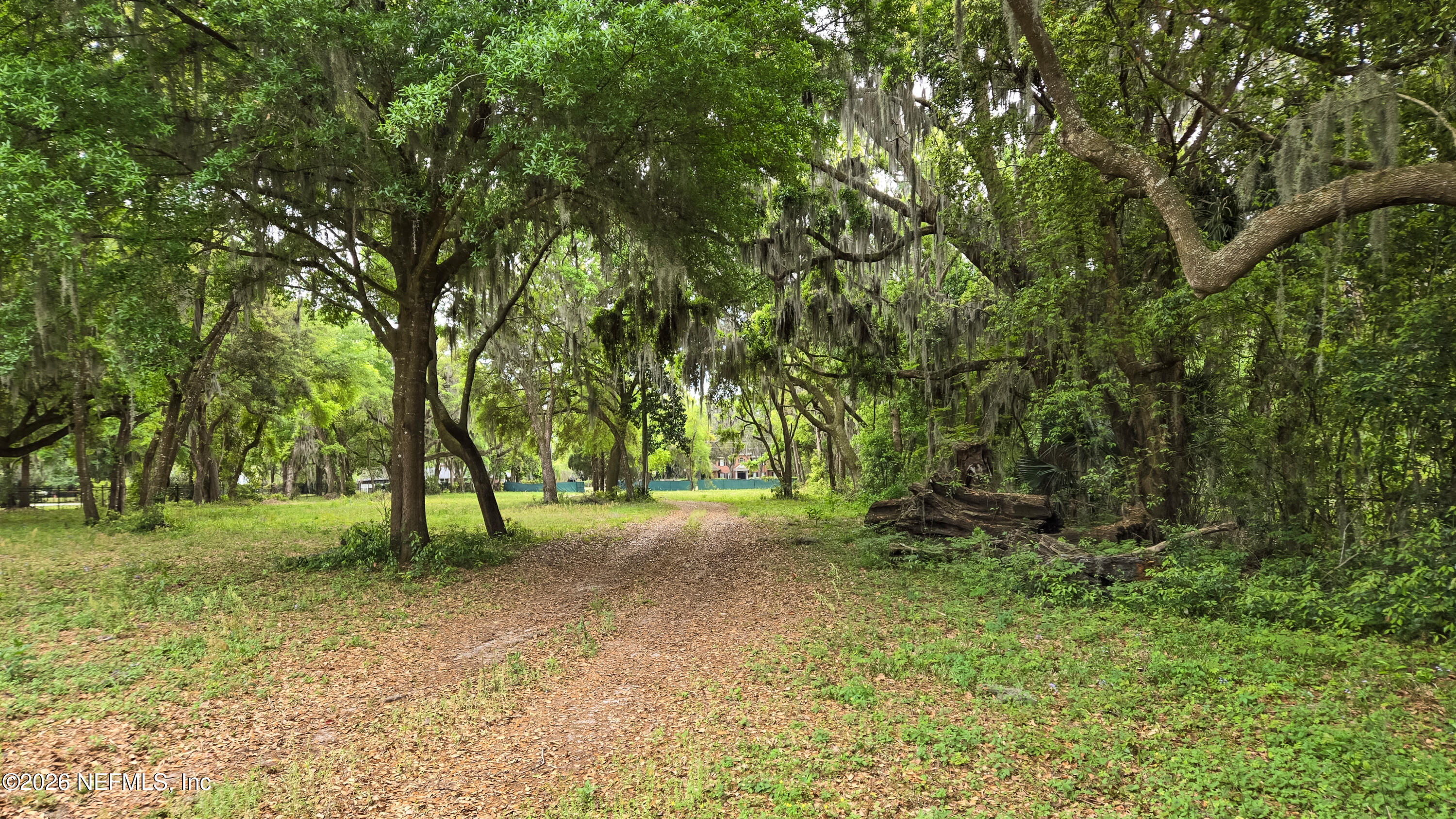 12638 Mandarin Road Jacksonville, FL 32223 - Photo 20 of 33 20250324_134518 - 1 - 16x9