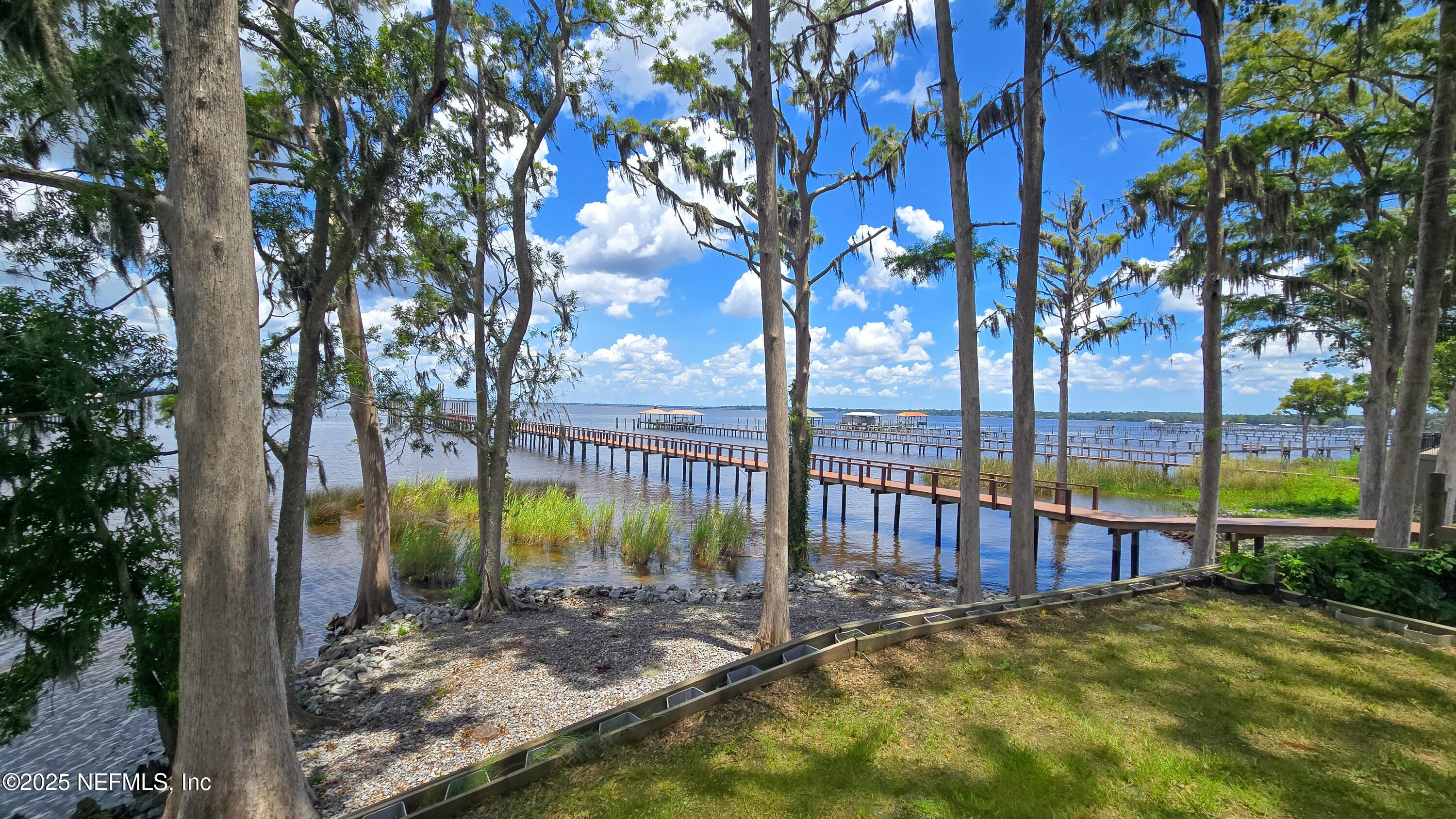 12638 Mandarin Road Jacksonville, FL 32223 - Photo 9 of 33 a view of a park with a tree