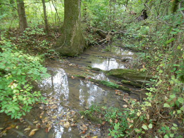 122 Mountain Road Blaine, TN 37709 - Photo 3 of 27 DSCN3079