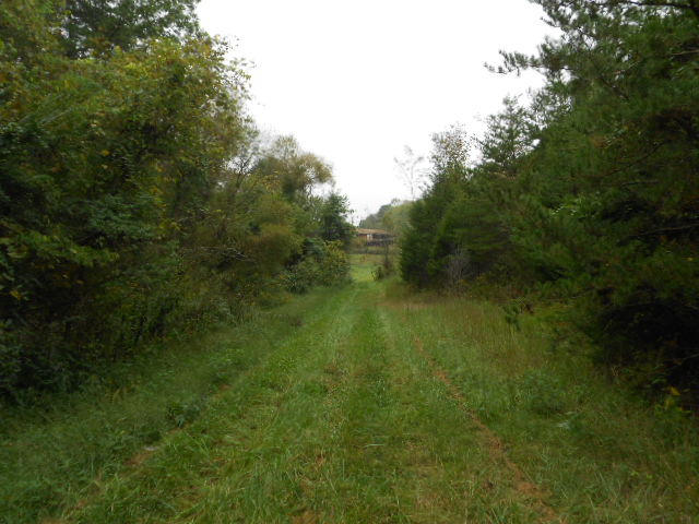122 Mountain Road Blaine, TN 37709 - Photo 22 of 27 DSCN3084