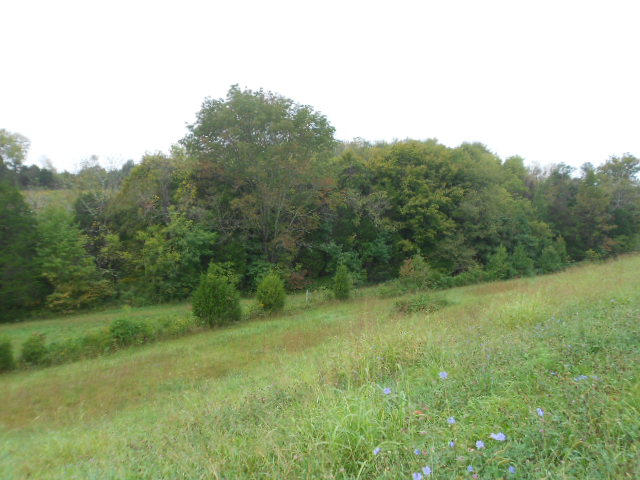 122 Mountain Road Blaine, TN 37709 - Photo 4 of 27 DSCN3063