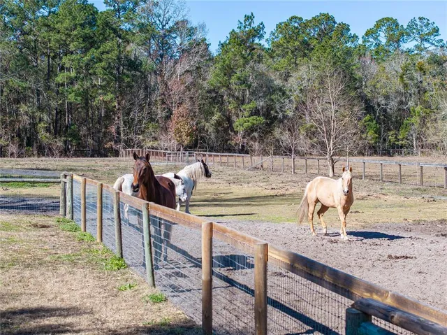 $874,000 | 10720 Northwest 53rd Terrace, Gainesville, FL 32653