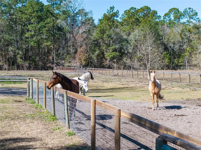 $874,000 | 10720 Northwest 53rd Terrace, Gainesville, FL 32653