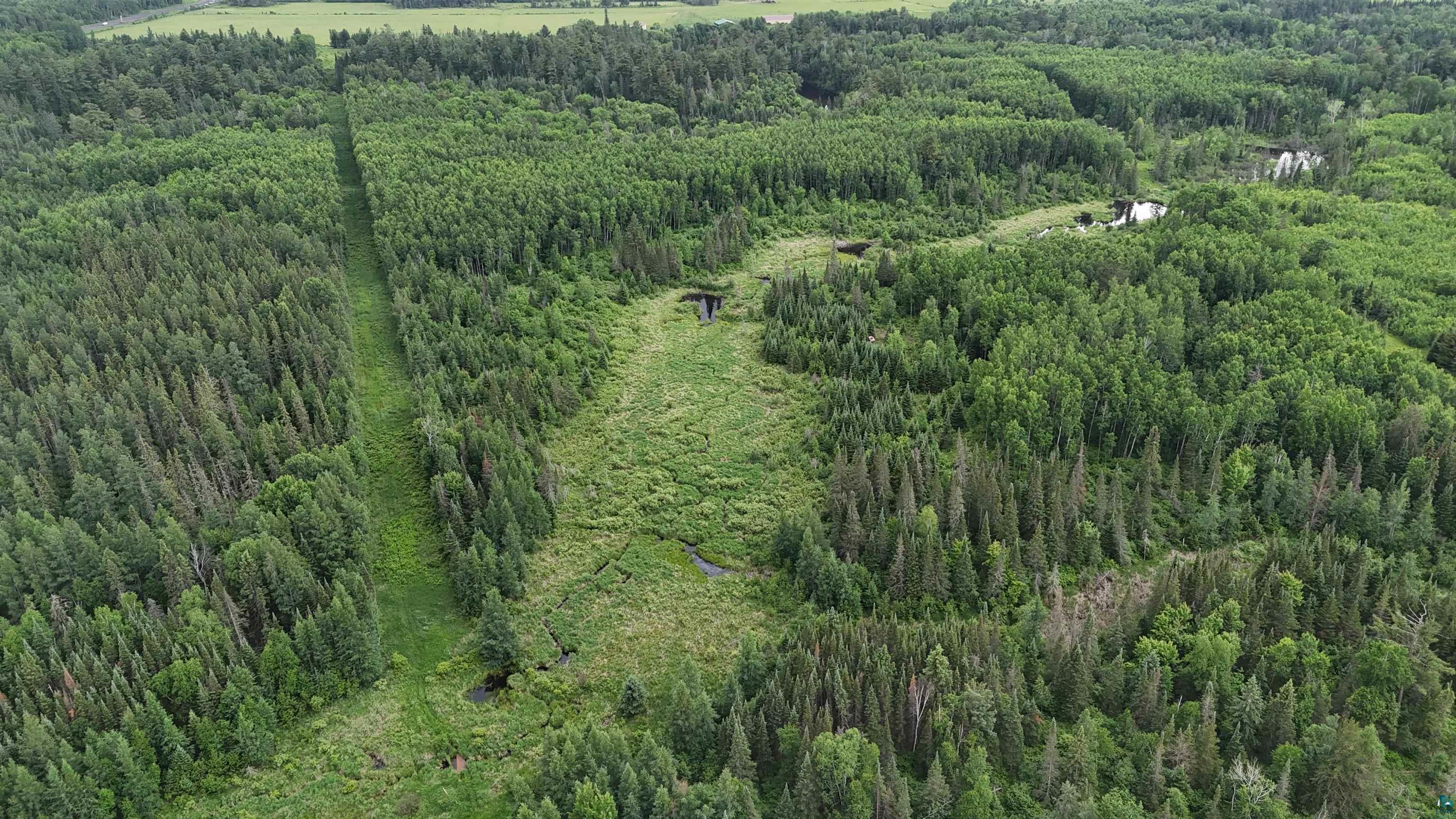 Tbd Quaal Road Forbes, MN 55738 - Photo 1 of 24