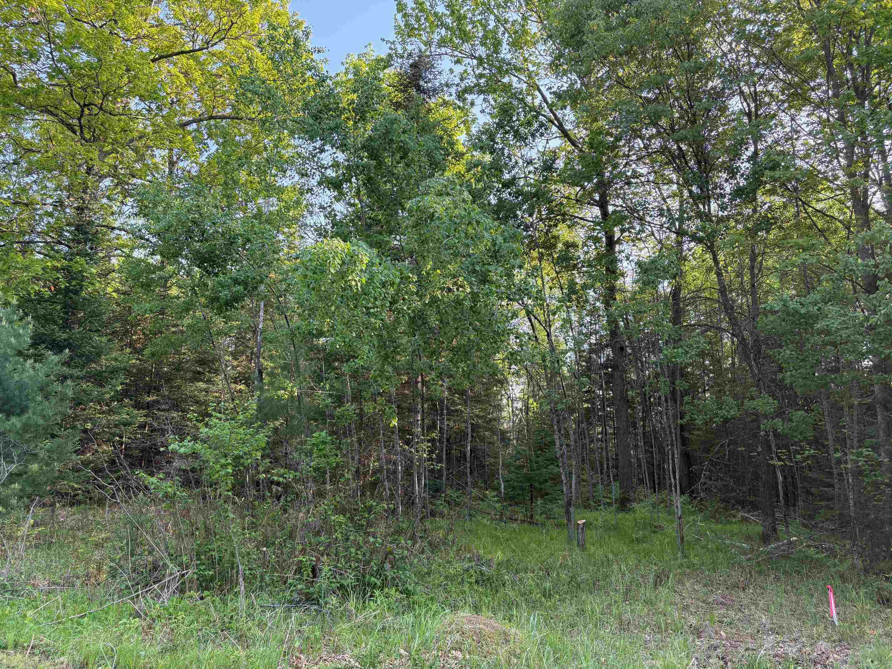 Moen Lake Rhinelander, WI 54501 - Photo 14 of 17