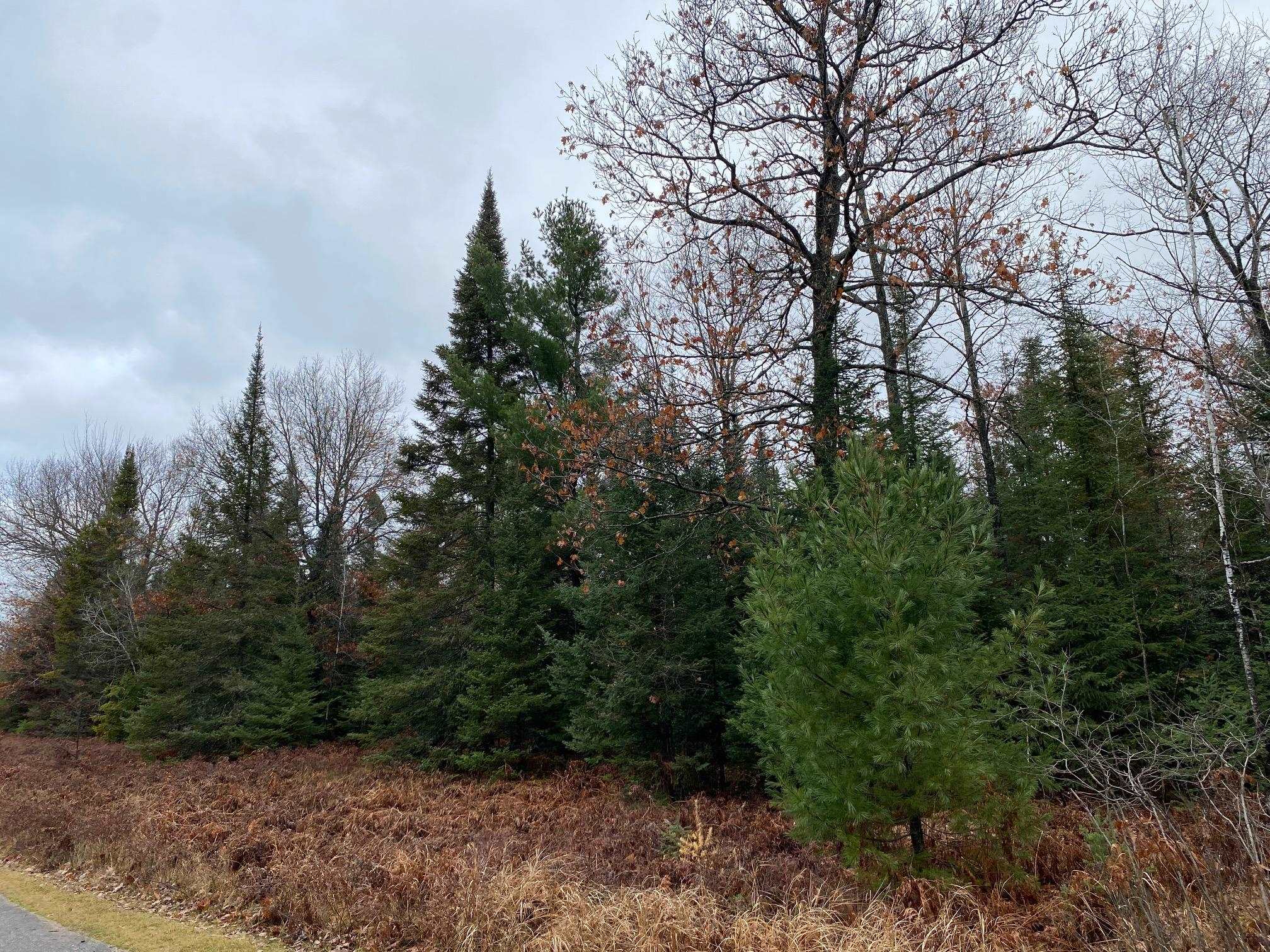 Moen Lake Rhinelander, WI 54501 - Photo 3 of 17