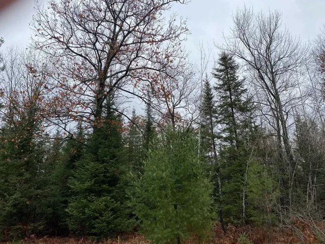 $56,900 | Moen Lake, Rhinelander, WI 54501