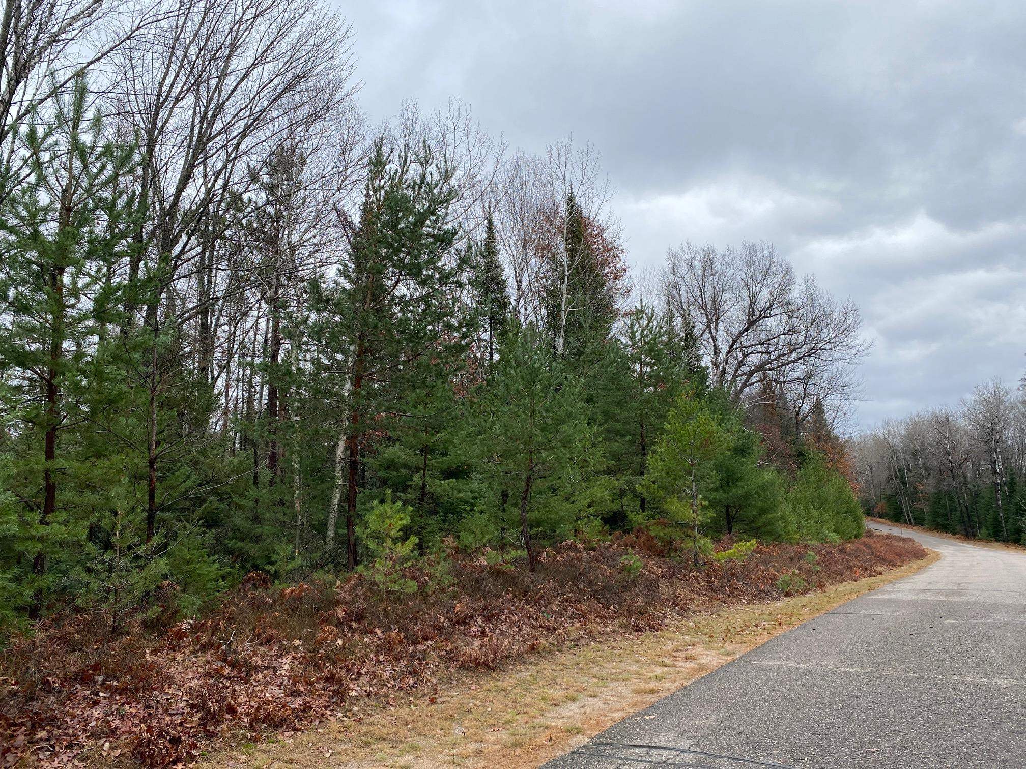 Moen Lake Rhinelander, WI 54501 - Photo 5 of 17