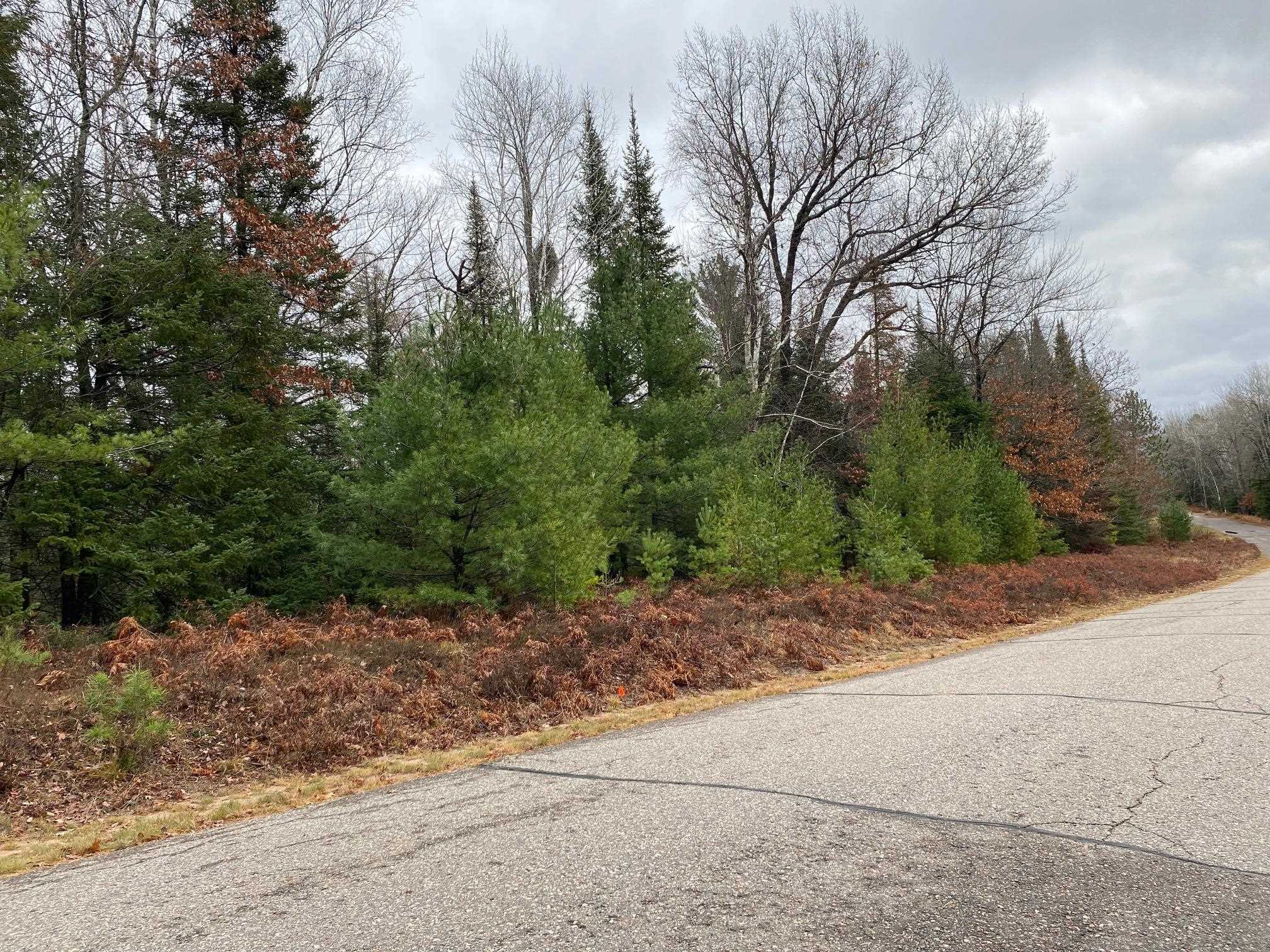 Moen Lake Rhinelander, WI 54501 - Photo 6 of 17