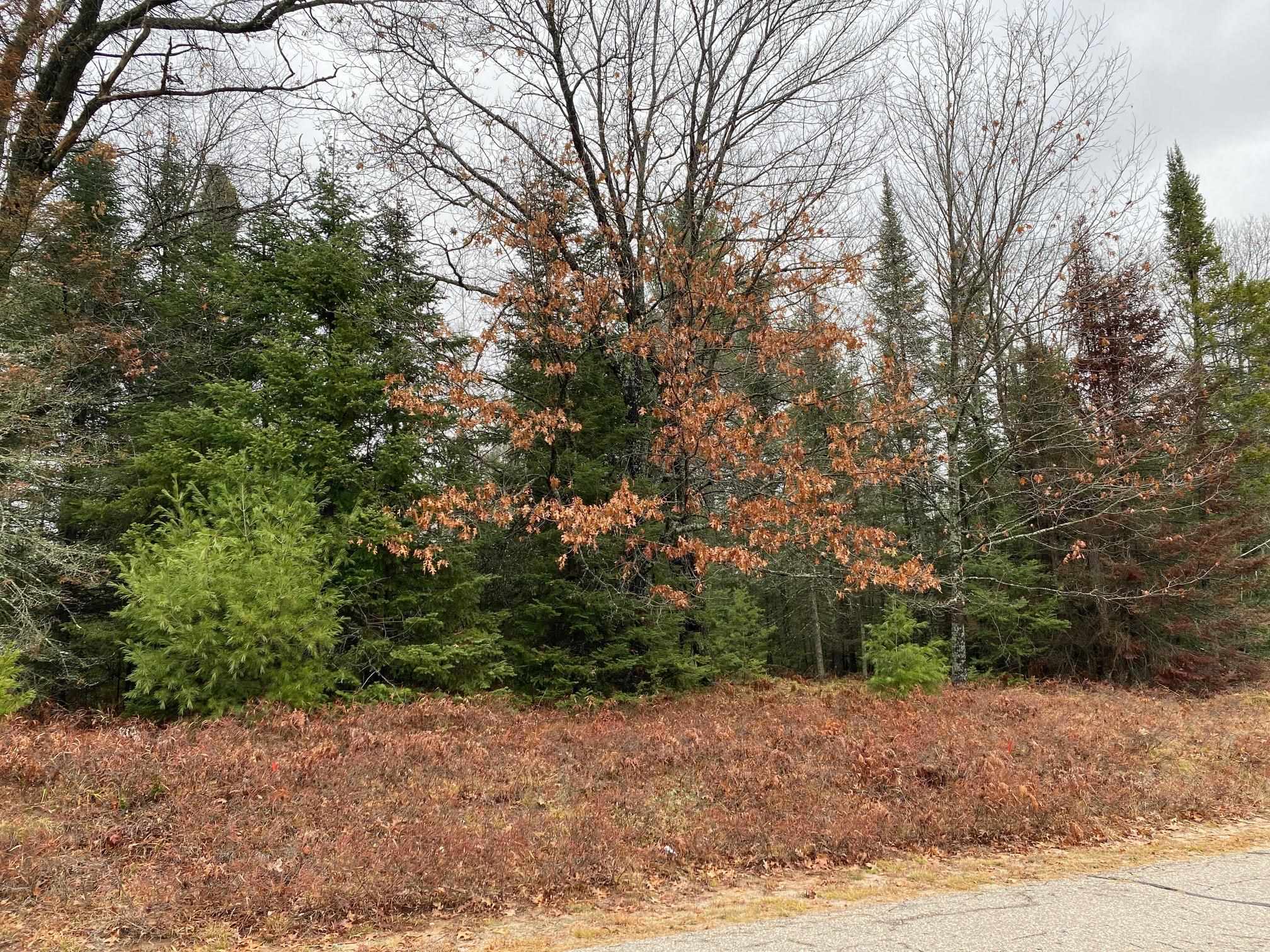 Moen Lake Rhinelander, WI 54501 - Photo 7 of 17