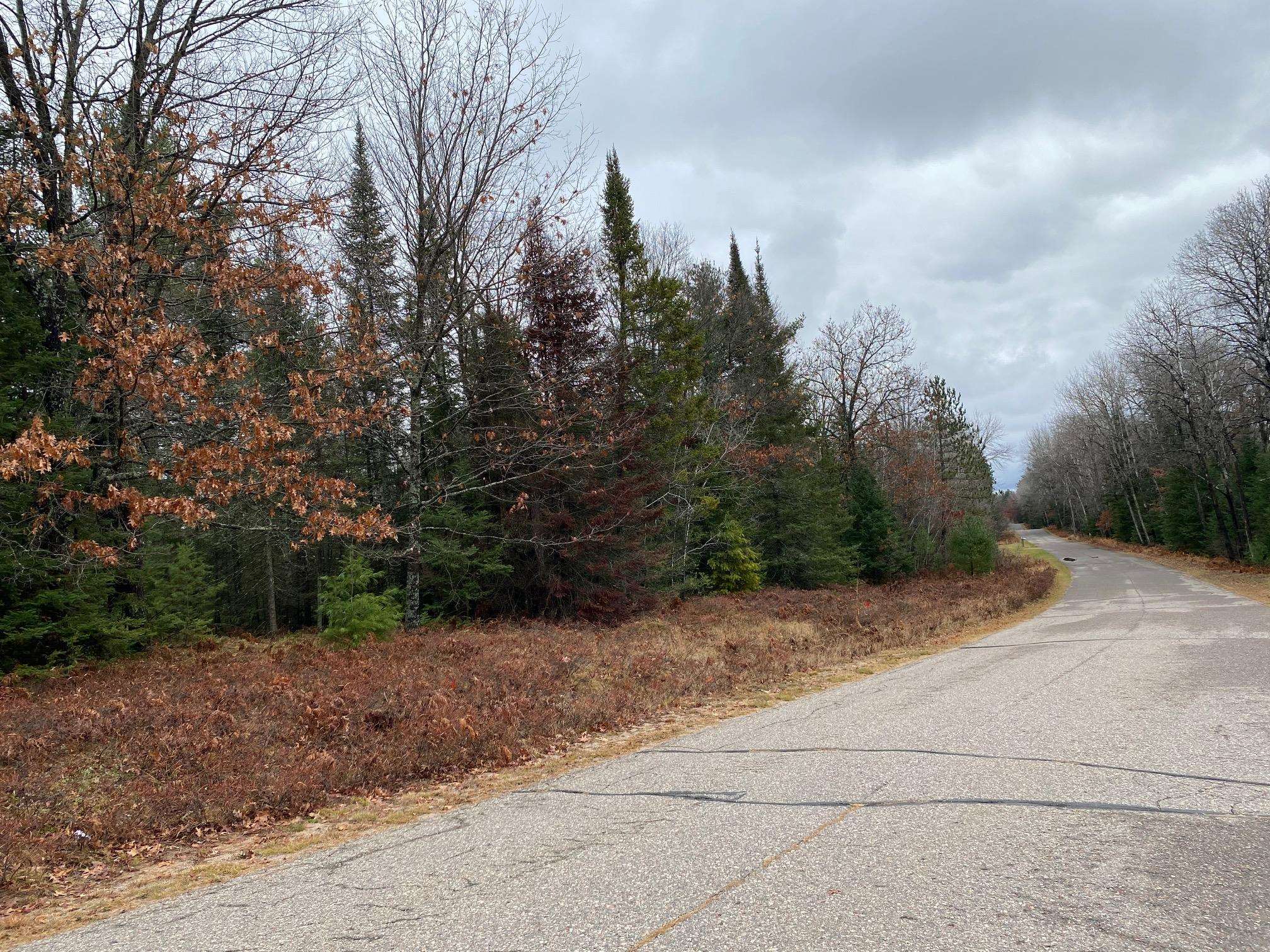 Moen Lake Rhinelander, WI 54501 - Photo 8 of 17