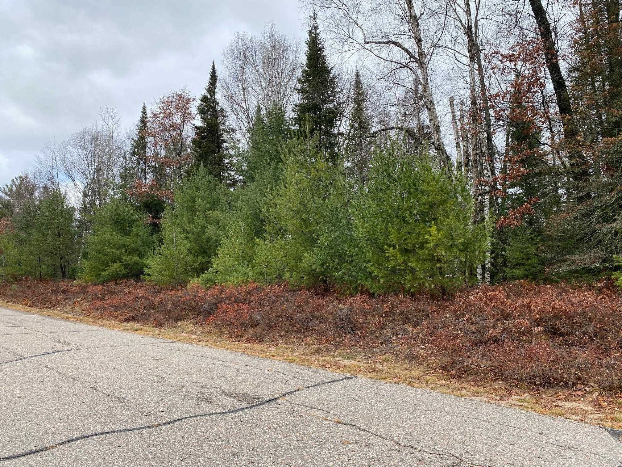 Moen Lake Rhinelander, WI 54501 - Photo 9 of 17