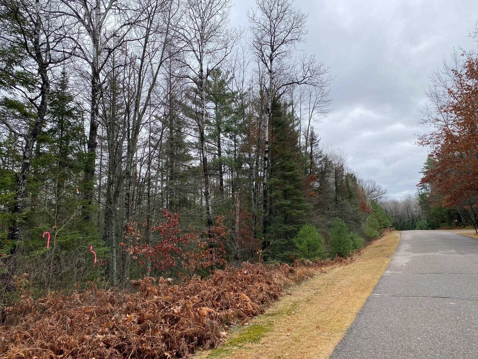 Moen Lake Rhinelander, WI 54501 - Photo 10 of 17