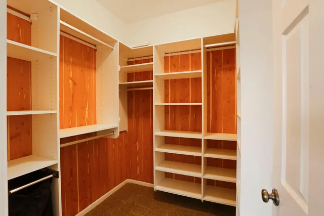 a bathroom with a shower and a toilet