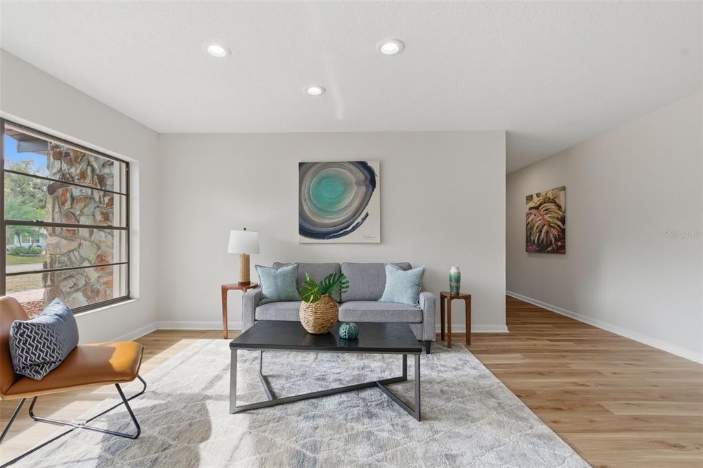 916 River Rapids Avenue Brandon, FL 33511 - Photo 12 of 61 a living room with furniture and a window