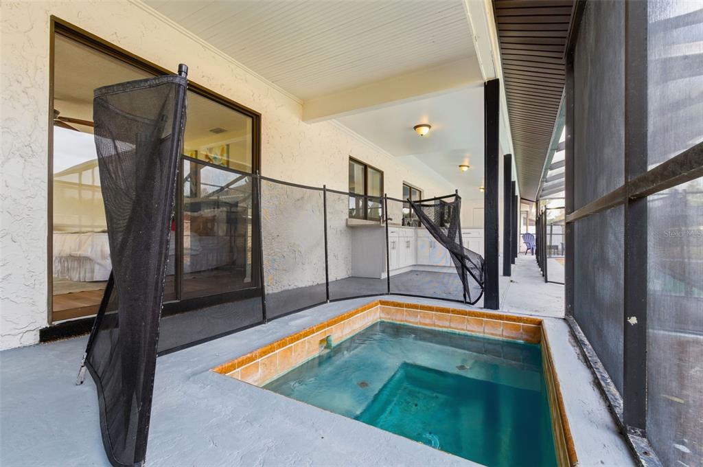 916 River Rapids Avenue Brandon, FL 33511 - Photo 57 of 61 a view of swimming pool