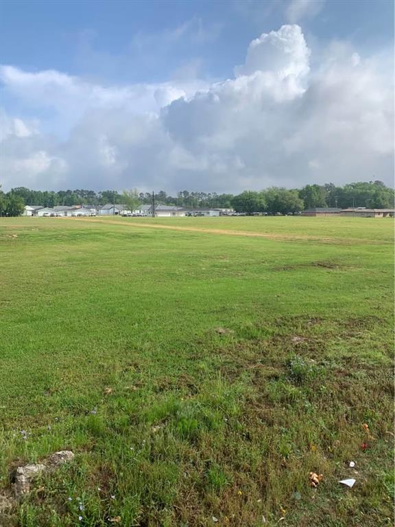 13322 Berry Bowl Road Independence, LA 70443 - Photo 1 of 7