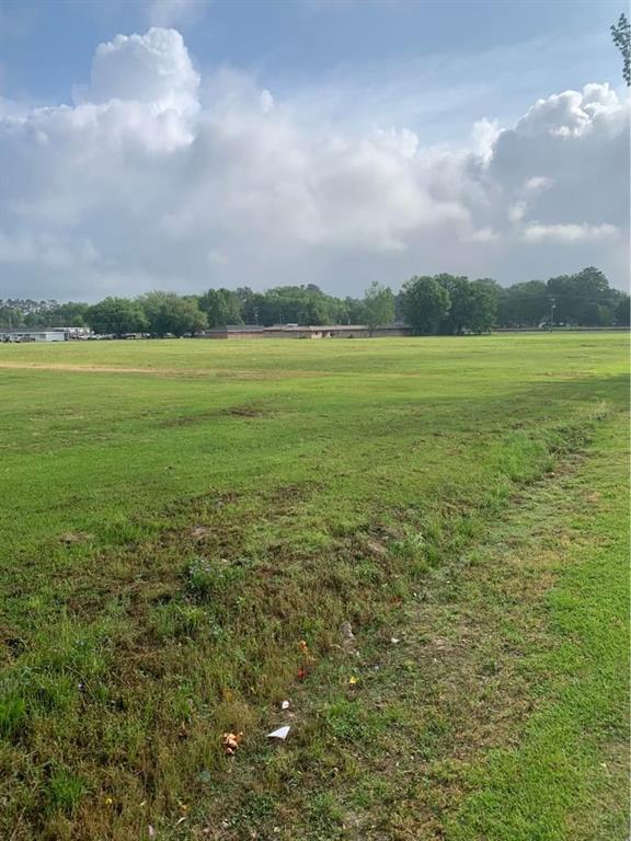 13322 Berry Bowl Road Independence, LA 70443 - Photo 3 of 7