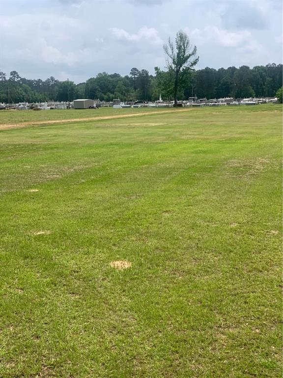 13322 Berry Bowl Road Independence, LA 70443 - Photo 4 of 7