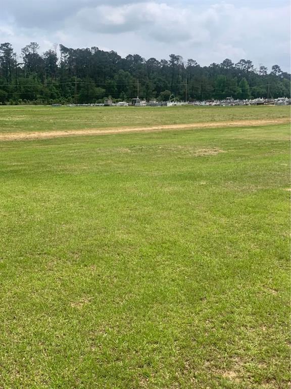 13322 Berry Bowl Road Independence, LA 70443 - Photo 5 of 7